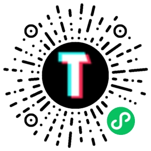 TT123跨境小程序码