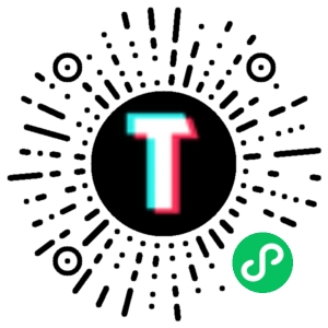 TT123跨境小程序码
