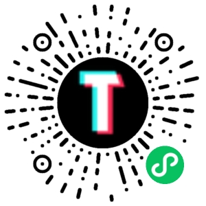 TT123跨境小程序码