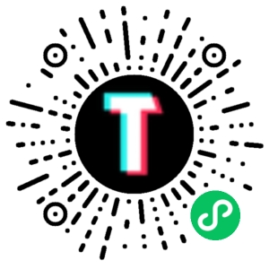 TT123跨境小程序码