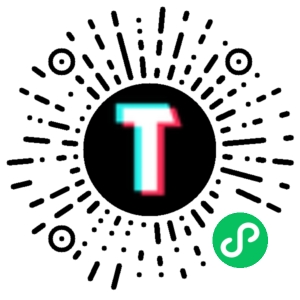 TT123跨境小程序码