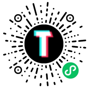 TT123跨境小程序码