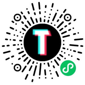 TT123跨境小程序码