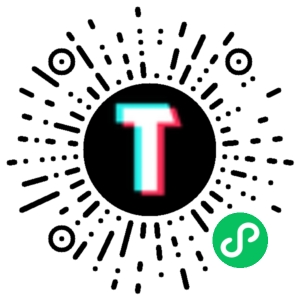 TT123跨境小程序码