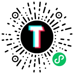 TT123跨境小程序码